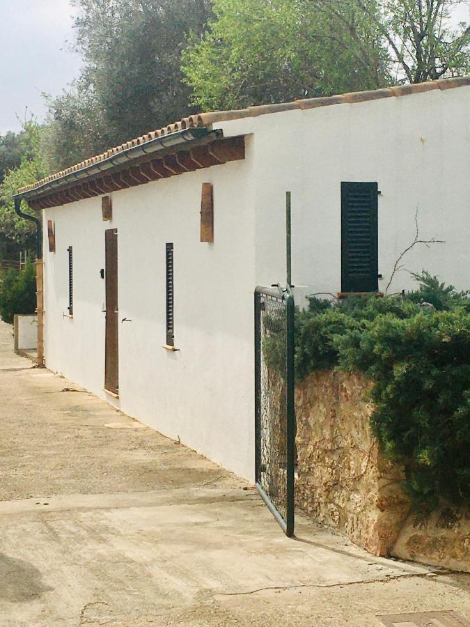 Villa La Vinya Gran Port de Pollenca